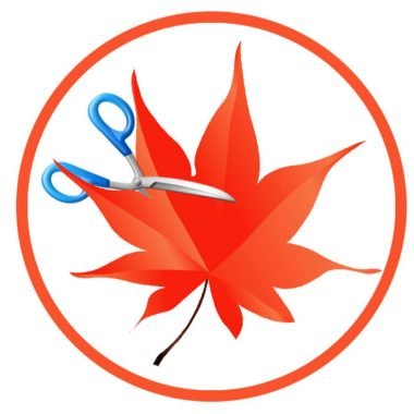 Easy Cut Studio Download